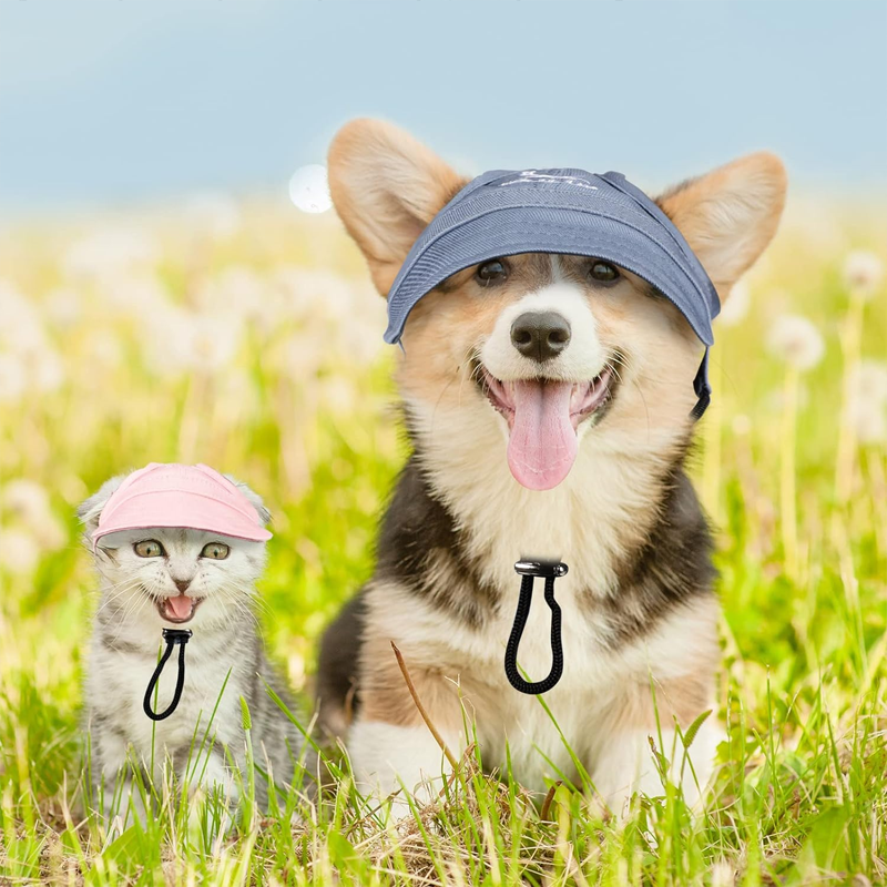 Outdoor-Sonnenschutzhaube für Hunde