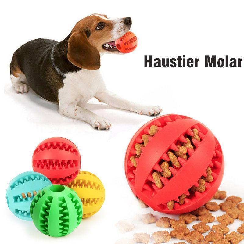 Hundebiss beständiger elastische Kugel Spielzeug Ball