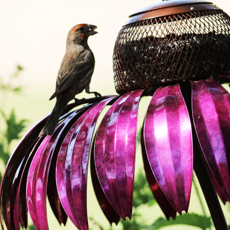 Blumen Vogelhäuschen