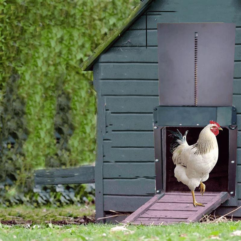 Geflügelfarm Automatische Hühnerhaustür