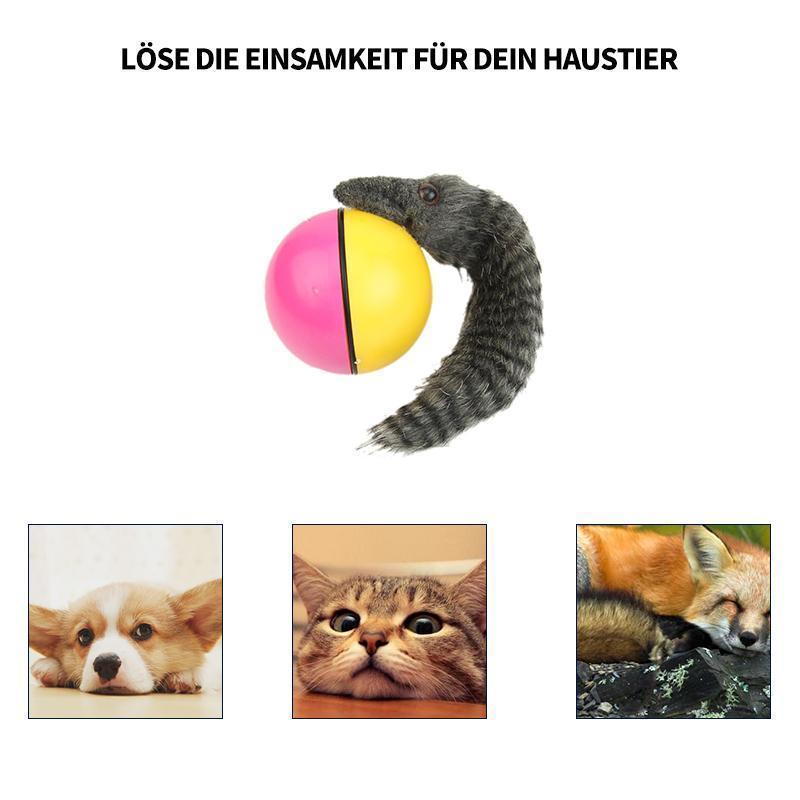 Biber Ball für Haustier